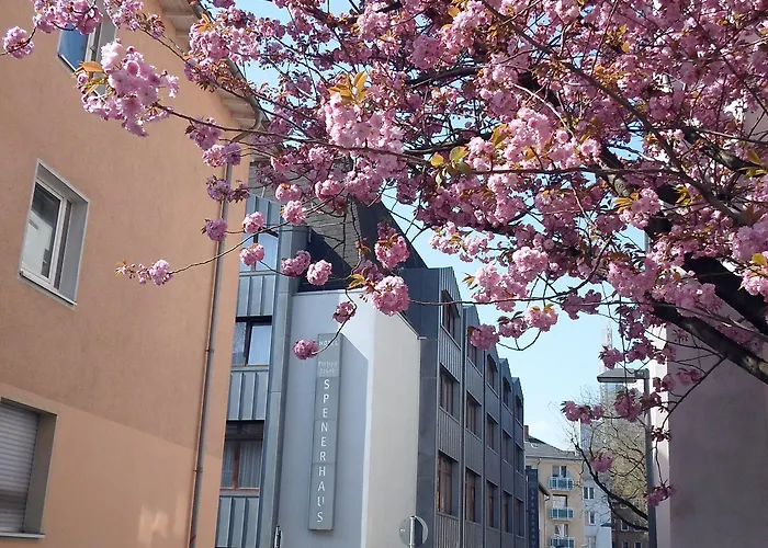 Hotel Vch Spenerhaus Frankfurt A Francfort-sur-le-Main